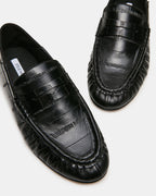 ROGER BLACK EEL